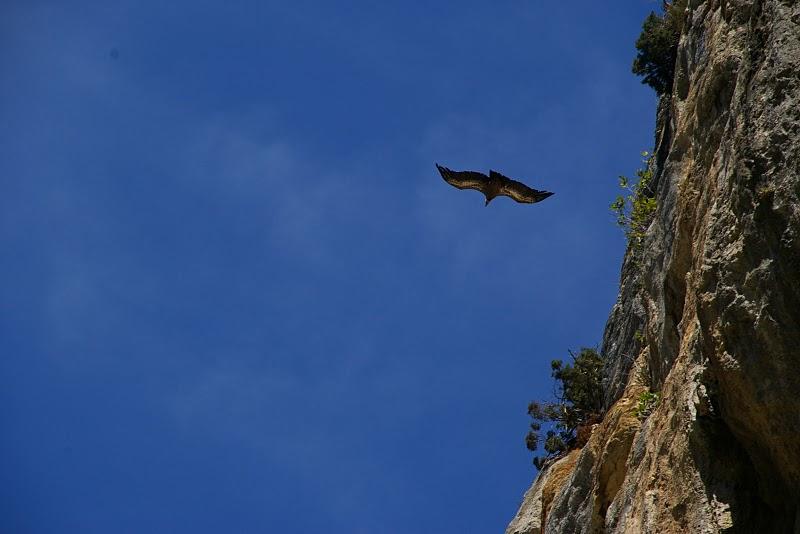 Mundo ibérico: Navarra Mundo ibérico: Navarra