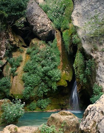 Mundo ibérico: Navarra Mundo ibérico: Navarra