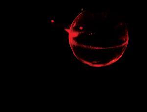 mg20727784.400-1_300 Luz atrapada en el espacio curvo