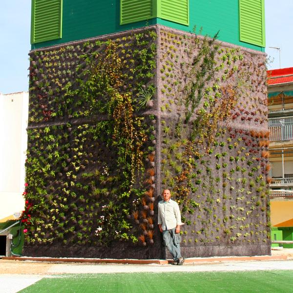 Naturalización del jardín vertical de Getafe.