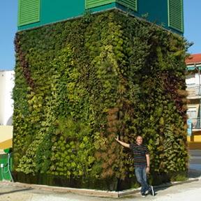 Naturalización del jardín vertical de Getafe.