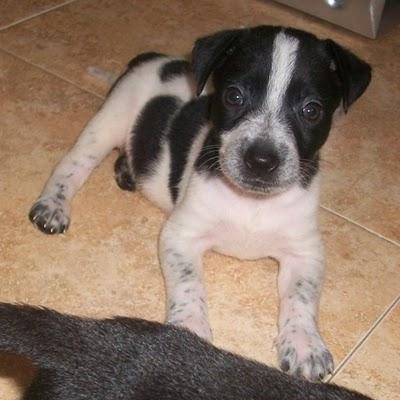 NOVEDADES: 7 bebes rescatados de un contenedor (Murcia) NOVEDADES: 7 bebes rescatados de un contenedor (Murcia)