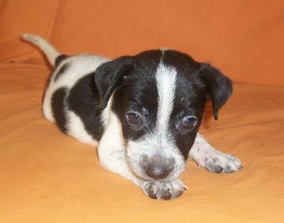 NOVEDADES: 7 bebes rescatados de un contenedor (Murcia) NOVEDADES: 7 bebes rescatados de un contenedor (Murcia)