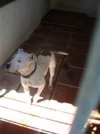 AMI ES DIFERENTE, NADIE LE VA A DAR UNA OPORTUNIDAD POR ESO??!! AMI ES DIFERENTE, NADIE LE VA A DAR UNA OPORTUNIDAD POR ESO??!!