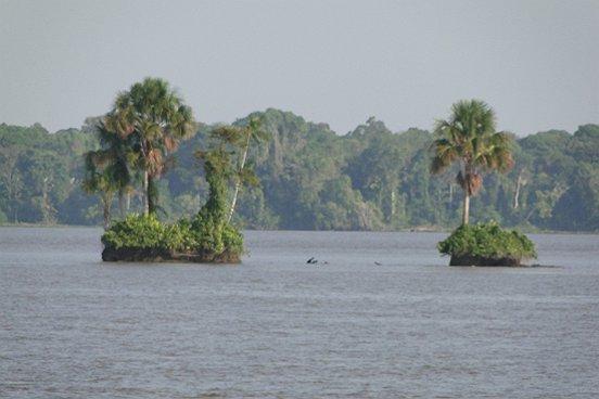 Río Amazonas