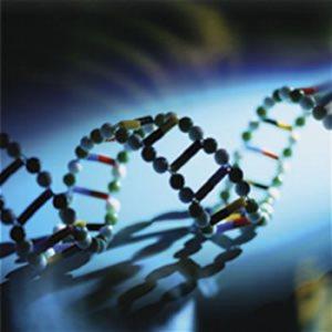 Reconstruyendo el aspecto a través del ADN