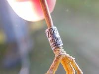 El Paso migratorio postnupcial en las Marismas del Guadalquivir // 18-9-2010 El Paso migratorio postnupcial en las Marismas del Guadalquivir // 18-9-2010