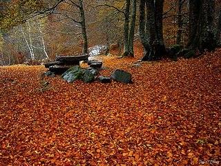 Hoy entra el Otoño