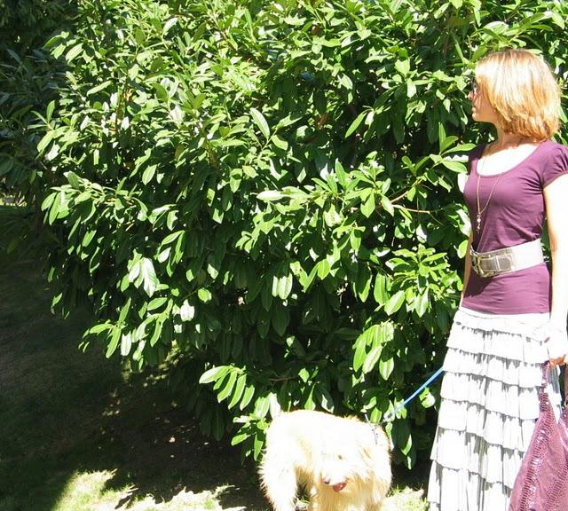 Falda con volantes Falda con volantes