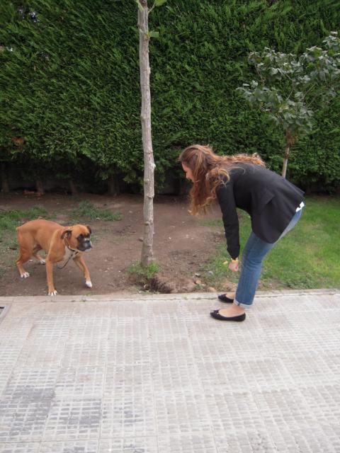 Green everywhere Photobucket