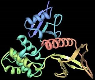 El cáncer pancreático podría tener un aliado en el extracto de zumo de granada por sus fitoquímicos El cáncer pancreático podría tener un aliado en el extracto de zumo de granada por sus fitoquímicos