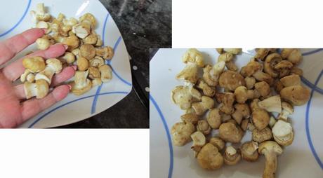 REVUELTOS DE PERRETXIKOS REVUELTOS DE PERRETXIKOS