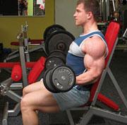 Circuitos de entrenamiento del brazo : Biceps Triceps
