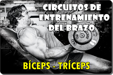 Circuitos de entrenamiento del brazo : Biceps Triceps