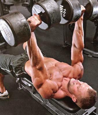 Alcohol y musculación. Alcohol y musculación.