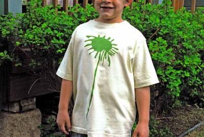 Tintes naturales para pintar camisetas Tintes naturales para pintar camisetas