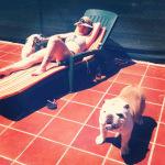 al sol y bulldog