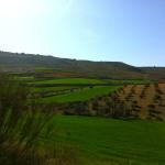 Domingo de campos verdes y caminos insólitos