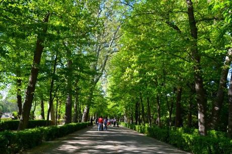 jardín del príncipe, aranjuez