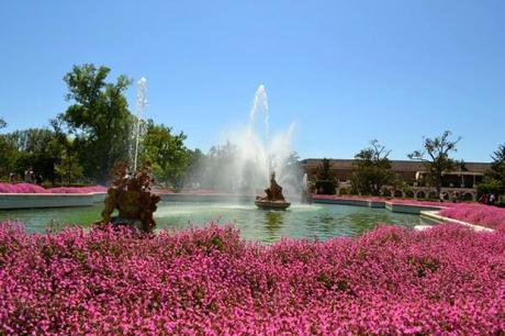 jardines del palacio real aranjuez