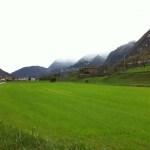 Campos verdes montañas nevadas