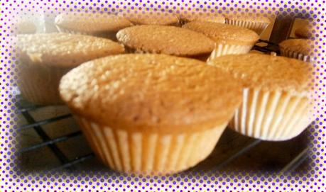 CUPCAKES CHOCOLATE BLANCO CON SWISS MERENGUE BUTTERCREAM DE CHOCOLATE BLANCO CUPCAKES CHOCOLATE BLANCO CON SWISS MERENGUE BUTTERCREAM DE CHOCOLATE BLANCO