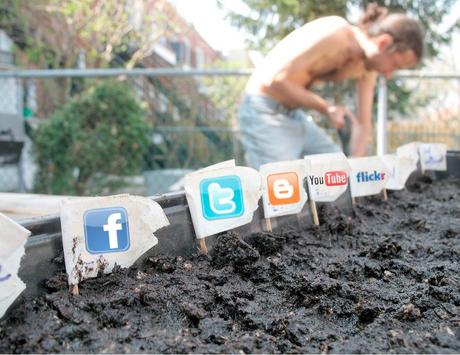 El hábito de leer las noticias continúa su curso en diferentes direcciones Social Media Garden - Foto de Matt Corks. Modificada por j&tplaman en Flickr.
