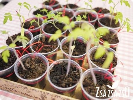 COSMETICA NATURAL02logo COSMETICA NATURAL02logo