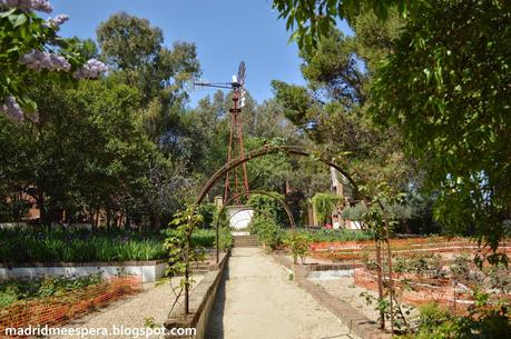 Molino de la rosaleda