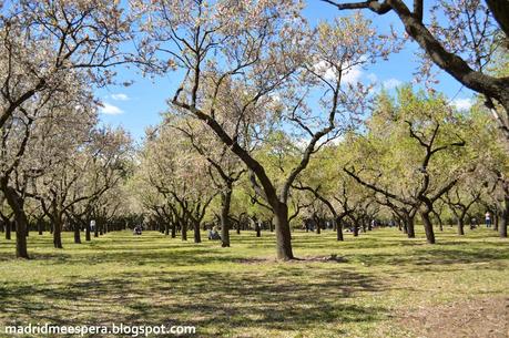 Almendros