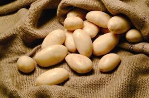 La patata vieja le gana la partida a la patata nueva PatateGiardina1