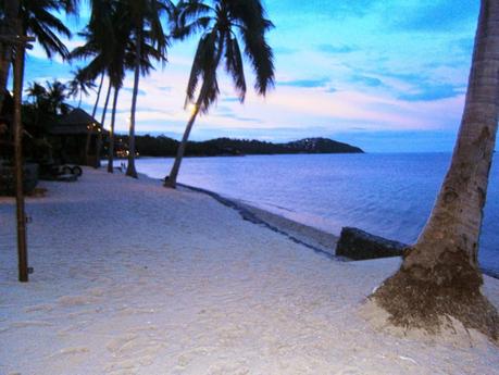 Consejos para organizar una boda low cost Consejos para organizar una boda low cost