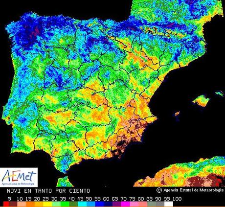 La mayor sequía en el sureste peninsular desde hace al menos 150 años. La mayor sequía en el sureste peninsular desde hace al menos 150 años.
