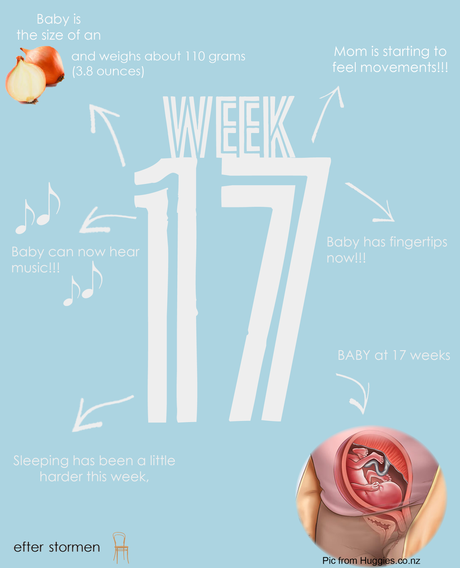Semana 17 Embarazo | Week 17 Pregnancy