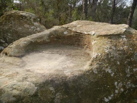 Plat del Rei o del Molí. Serralada Litoral Plat del Rei o del Molí. Serralada Litoral