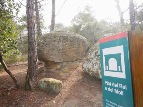 Plat del Rei o del Molí. Serralada Litoral Plat del Rei o del Molí. Serralada Litoral