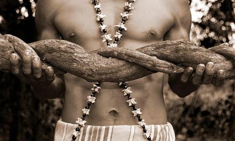 Ayahuasca el Diseño Divino 9 Tarot La iluminación y el Yage Ayahuasca el Diseño Divino 9 Tarot La iluminación y el Yage