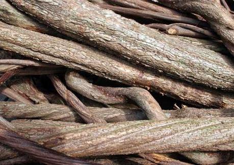 Ayahuasca el Diseño Divino 9 Tarot La iluminación y el Yage Ayahuasca el Diseño Divino 9 Tarot La iluminación y el Yage