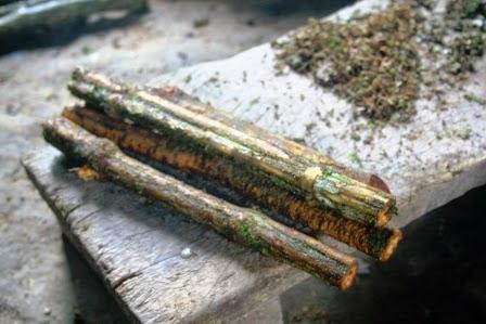 Ayahuasca el Diseño Divino 9 Tarot La iluminación y el Yage Ayahuasca el Diseño Divino 9 Tarot La iluminación y el Yage