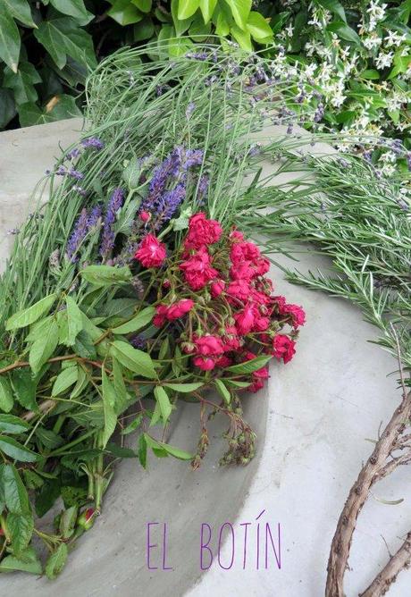 Las rosas tienen aguijones. botin