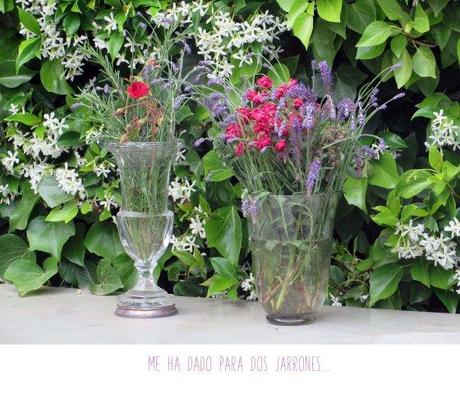 Las rosas tienen aguijones. dosjarrones