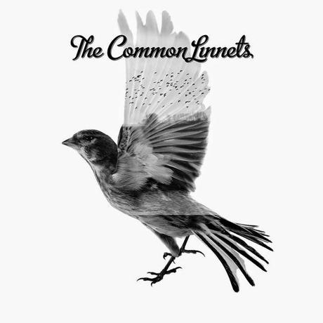The Common Linnets: The Times They Are a-Changin’