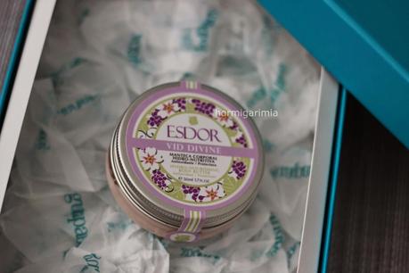 GUAPABOX MAYO GUAPABOX MAYO