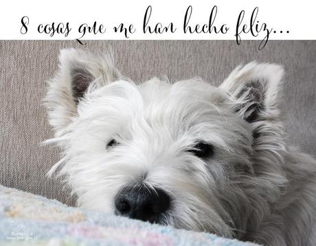 this week im happy for... this week im happy for...