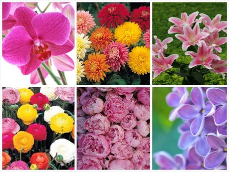 Un ramo para cada novia y una flor para cada estación Un ramo para cada novia y una flor para cada estación