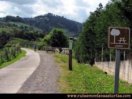 Senda Verde Camocha - Pico Sol - Piles: Área de descanso en la senda verde