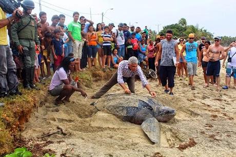 Líderes de las Patrullas Ecológicas reciben taller sobre Conservación de Tortugas Marinas Líderes de las Patrullas Ecológicas reciben taller sobre Conservación de Tortugas Marinas
