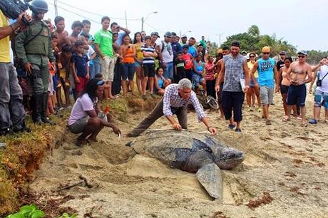 Líderes de las Patrullas Ecológicas reciben taller sobre Conservación de Tortugas Marinas