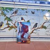 mosaico2 Un paseo por Alcalá de Henares y Talavera de la Reina