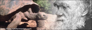 El origen de las especies, la teoría de la evolución darwin